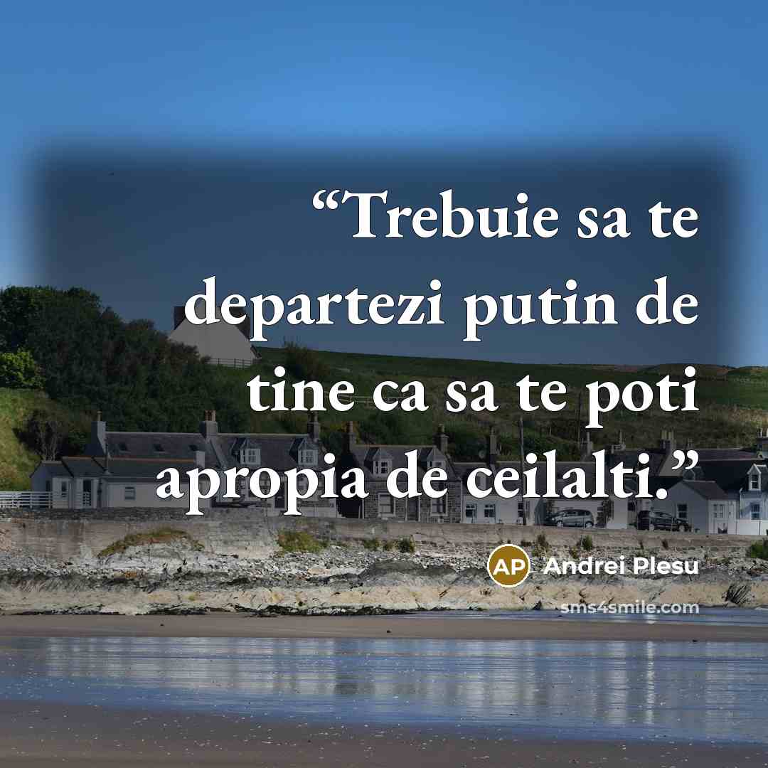 “Trebuie sa te departezi putin de tine ca sa te poti apropia de ceilalti.” quote by Andrei Plesu
