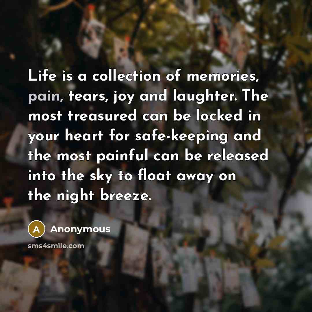 “Life is a collection of memories, pain, tears, joy and…” quote by Anonymous