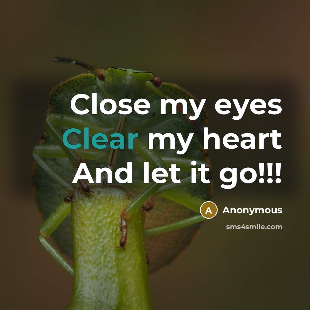 “Close my eyes Clear my heart And let it go!!!…” quote by Anonymous