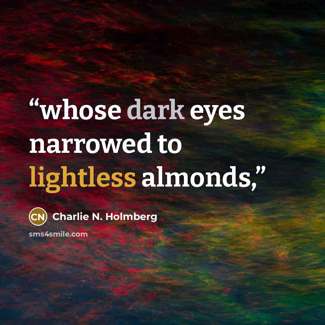 “whose dark eyes narrowed to lightless almonds,” quote by Charlie N. Holmberg
