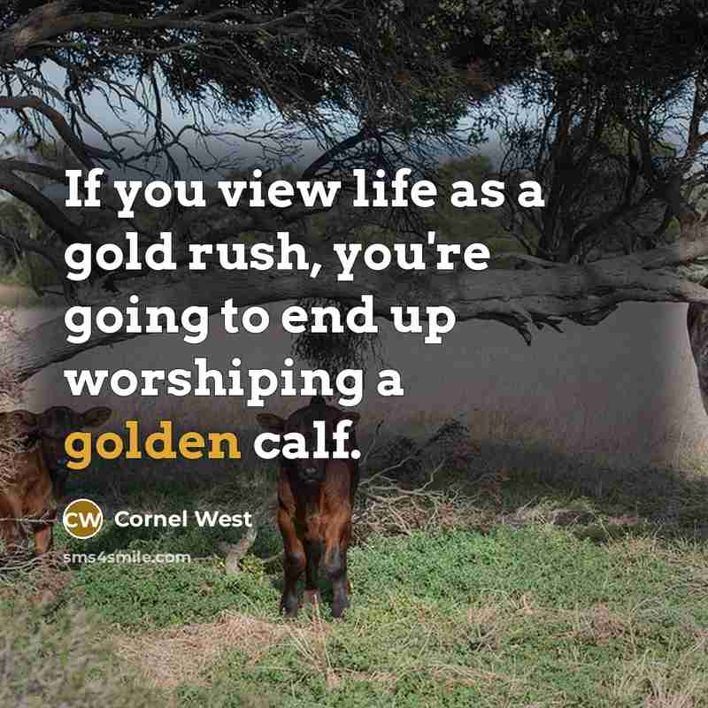 “If you view life as a gold rush, you're going…” quote by Cornel West