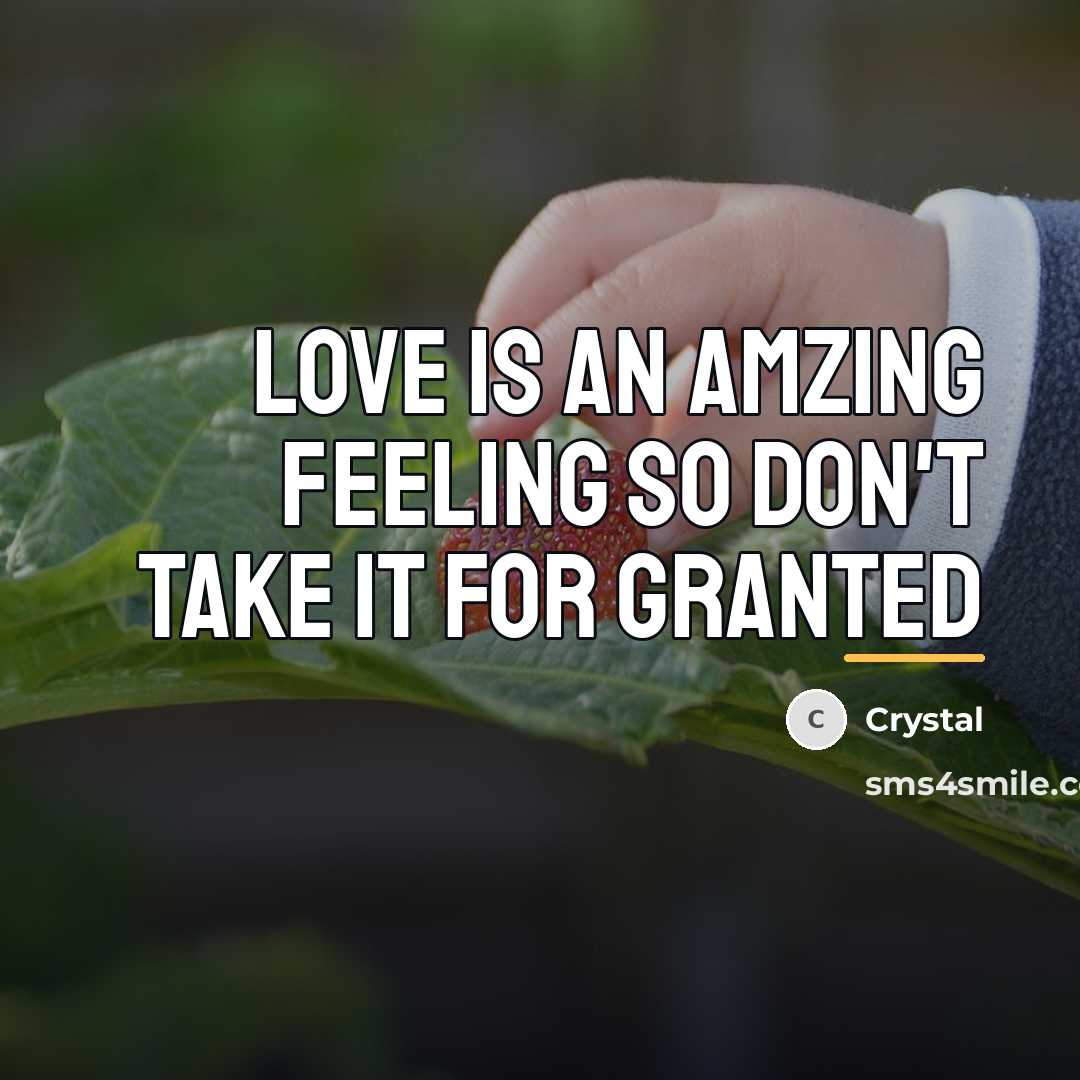 “Love is an amzing feeling so don't take it for…” quote by Crystal