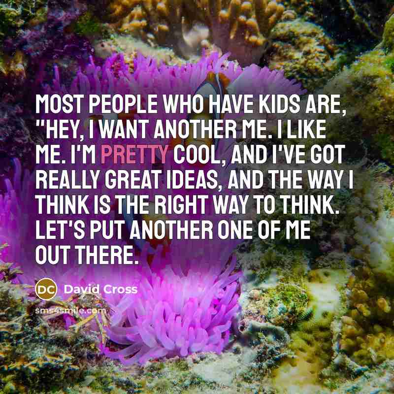 “Most people who have kids are, "Hey, I want another…” quote by David Cross
