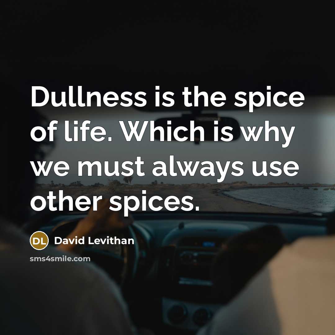 “Dullness is the spice of life. Which is why we…” quote by David Levithan
