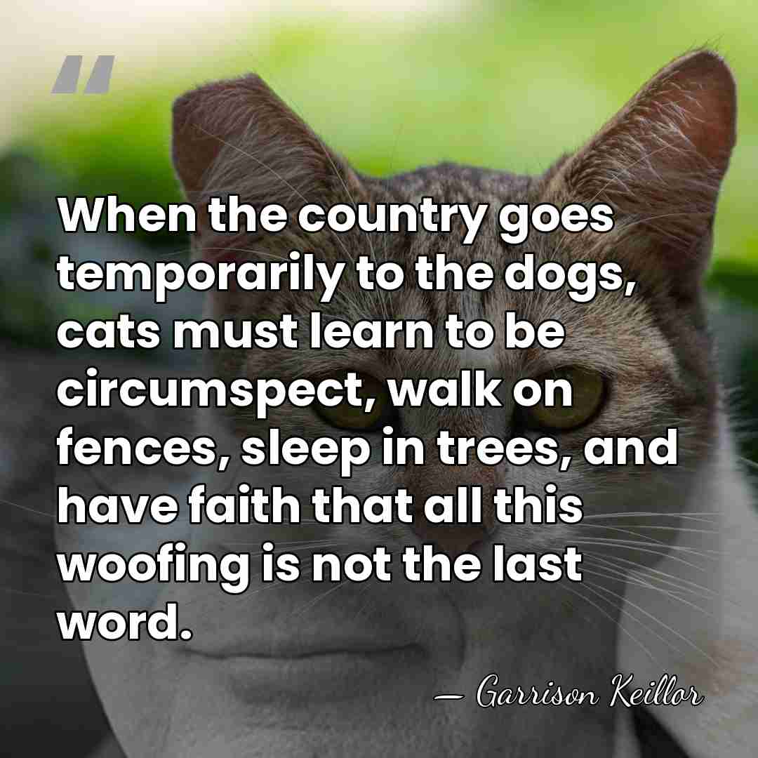 When the country goes temporarily to the dogs, cats must learn to&hellip; - Garrison Keillor