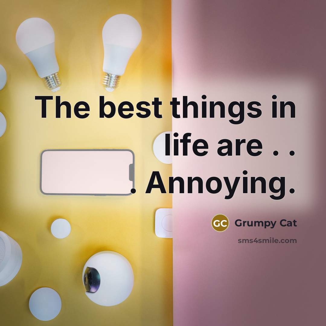 “The best things in life are . . . Annoying.…” quote by Grumpy Cat