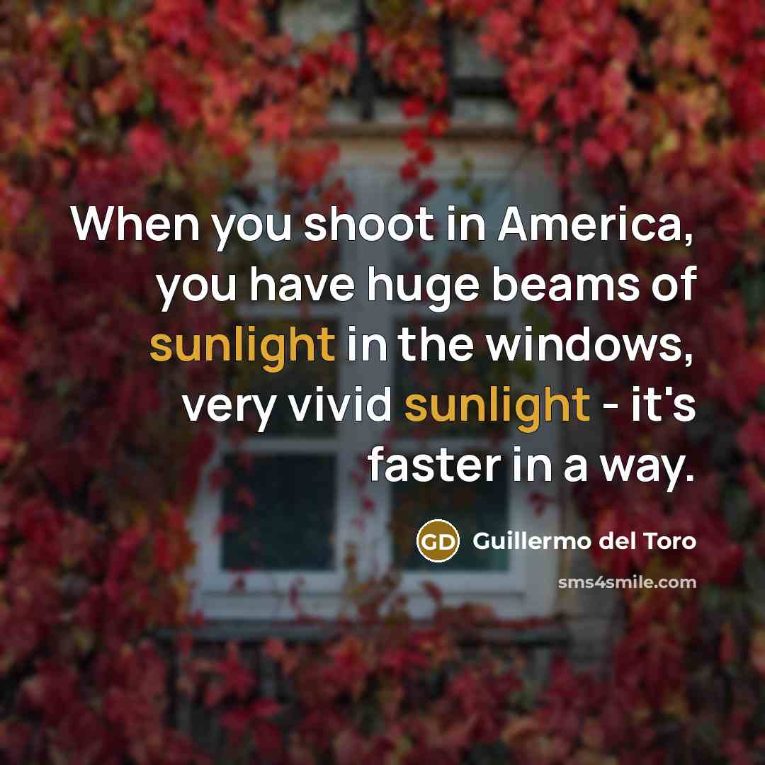 “When you shoot in America, you have huge beams of…” quote by Guillermo del Toro