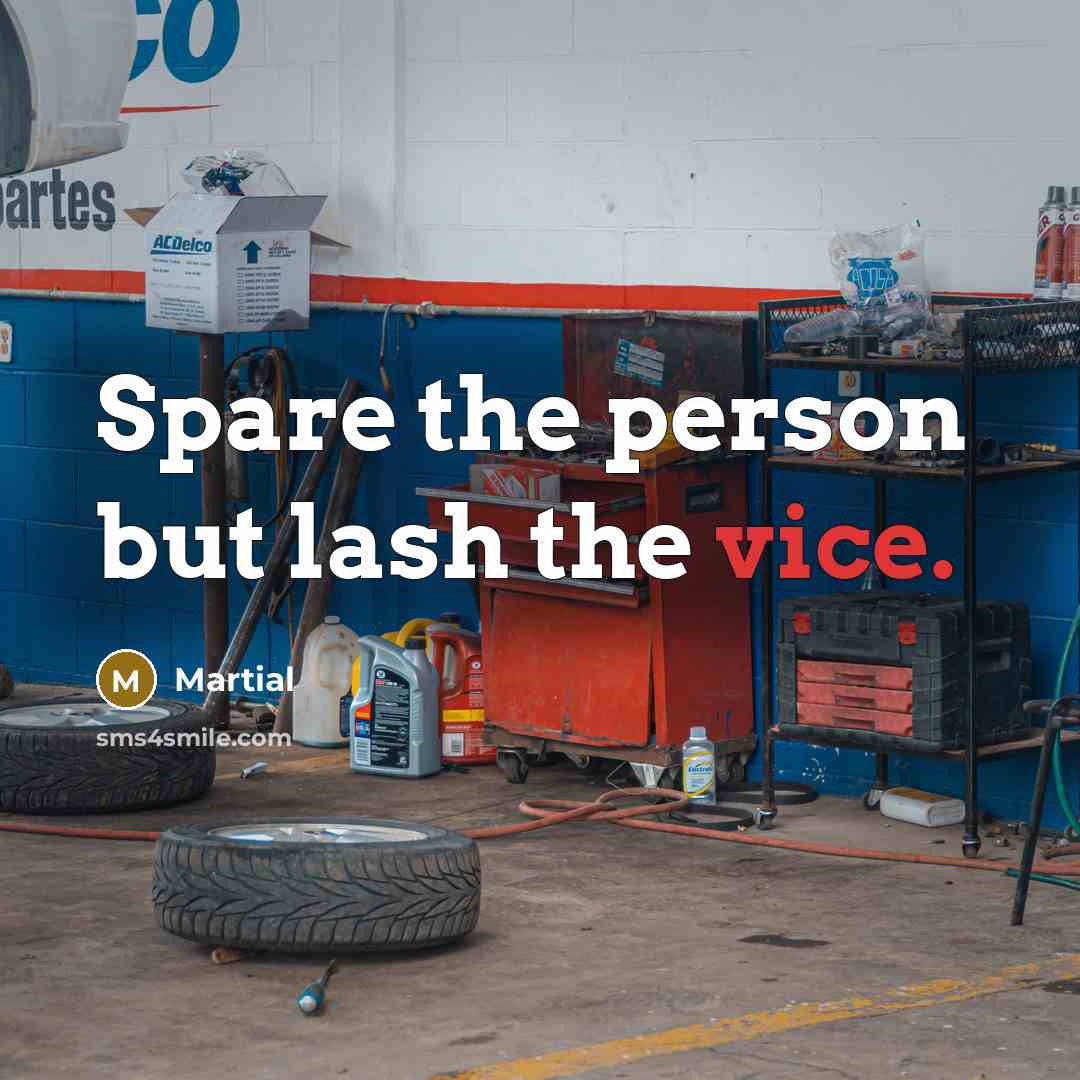 “Spare the person but lash the vice.…” quote by Martial