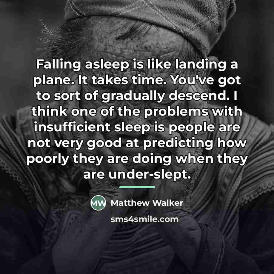 “Falling asleep is like landing a plane. It takes time.…” quote by Matthew Walker
