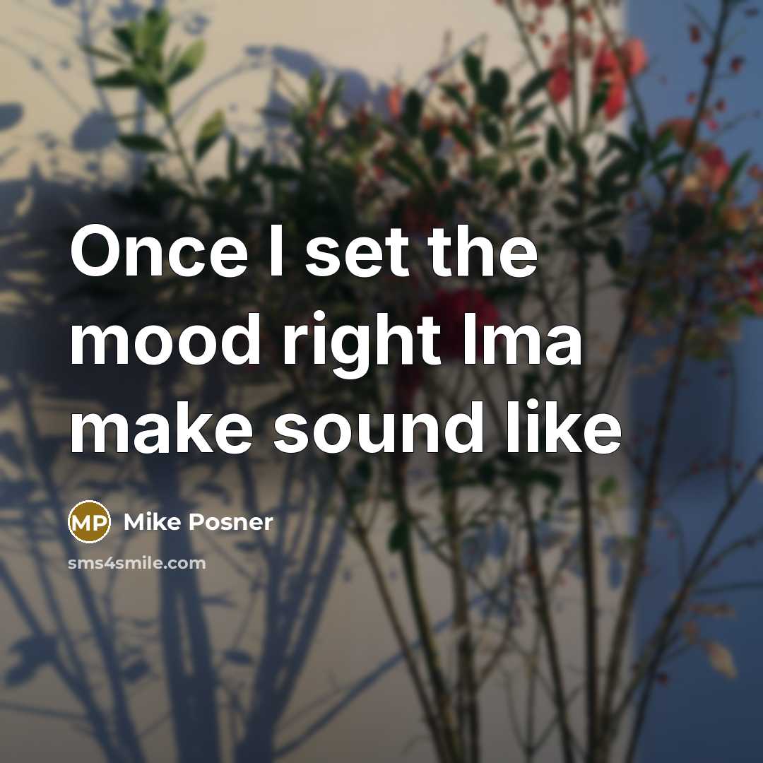 “Once I set the mood right Ima make sound like…” quote by Mike Posner