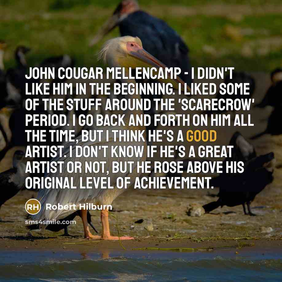 “John Cougar Mellencamp - I didn't like him in the…” quote by Robert Hilburn