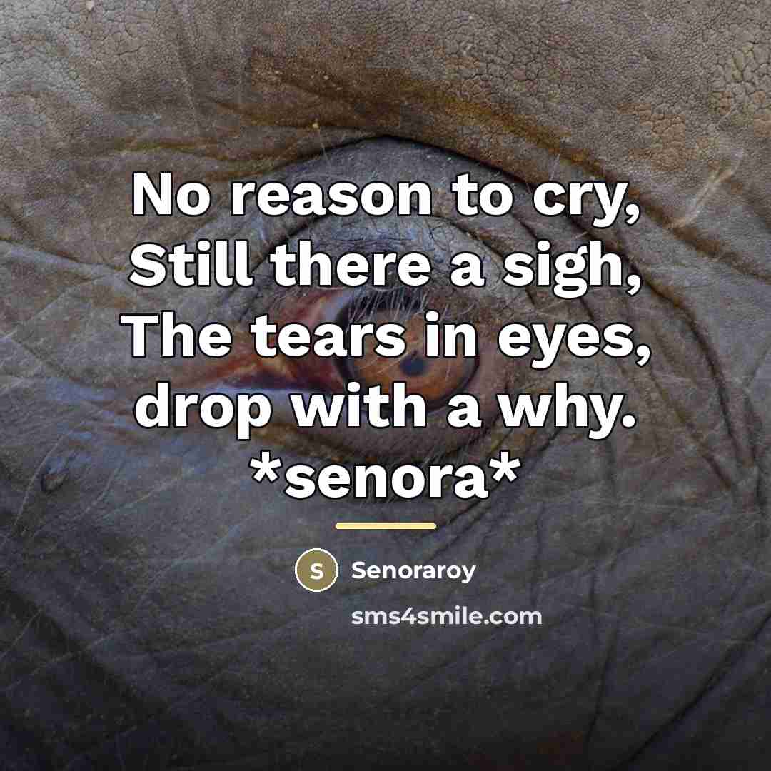 “No reason to cry, Still there a sigh, The tears…” quote by Senoraroy