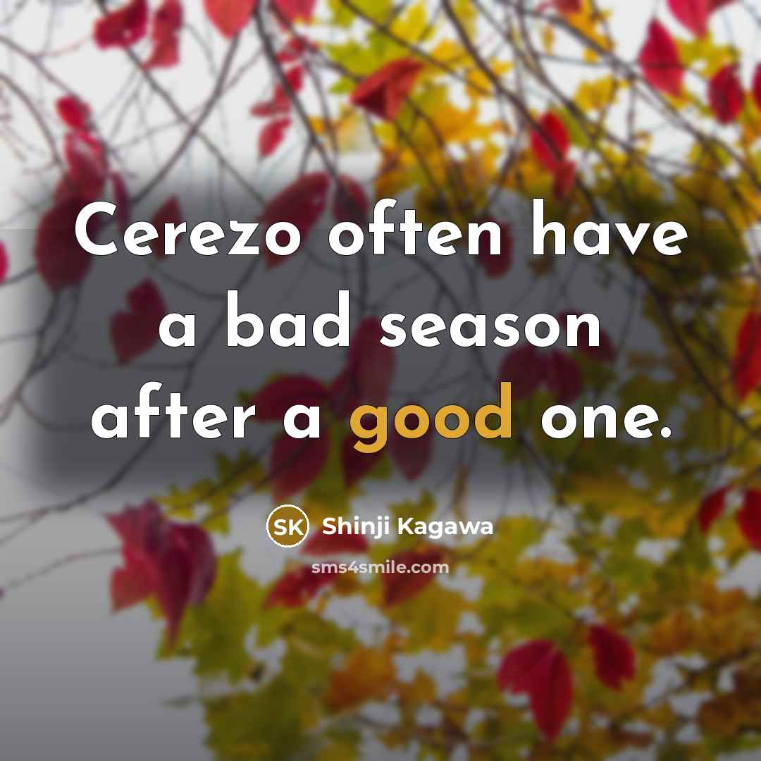 “Cerezo often have a bad season after a good one.…” quote by Shinji Kagawa