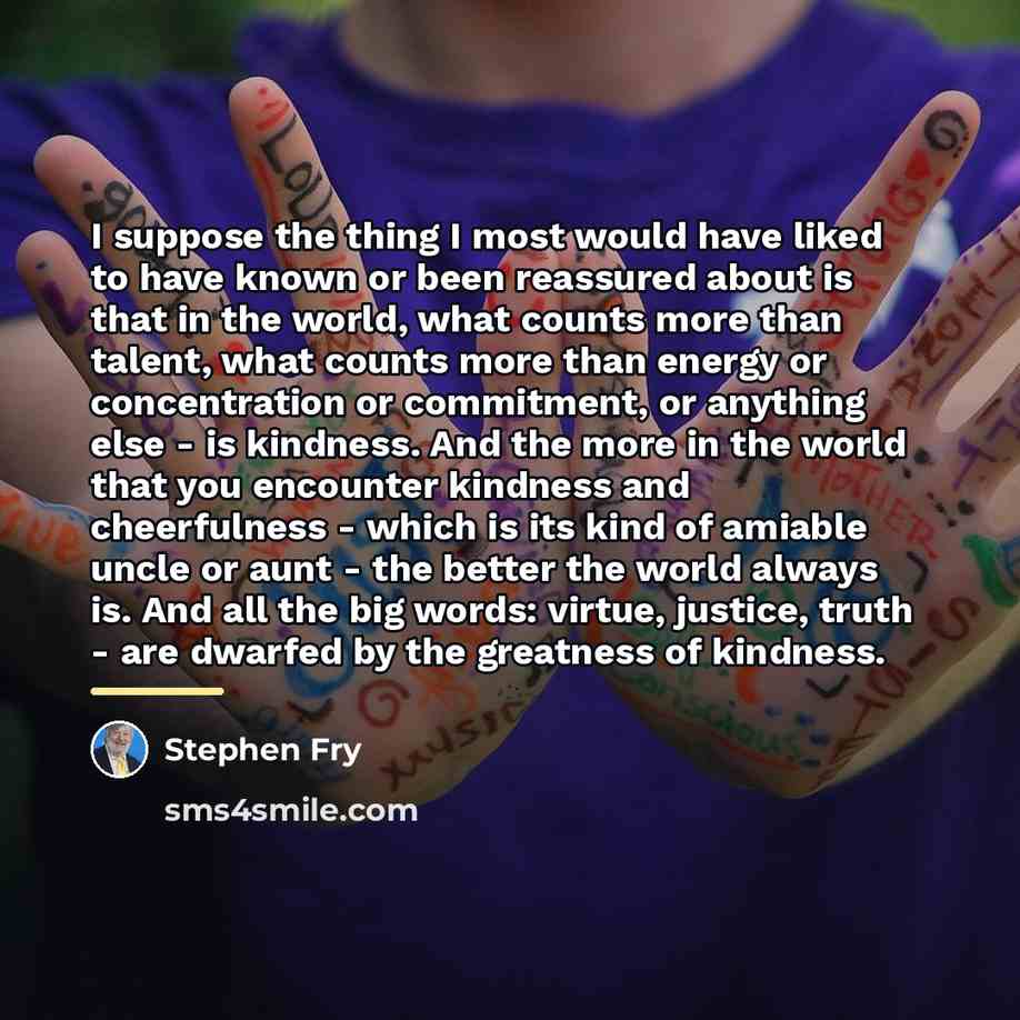 “I suppose the thing I most would have liked to…” quote by Stephen Fry