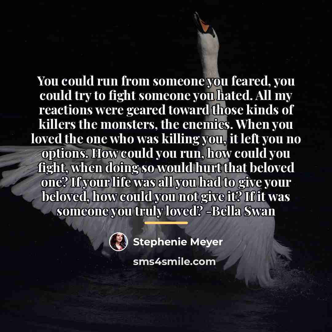 “You could run from someone you feared, you could try…” quote by Stephenie Meyer
