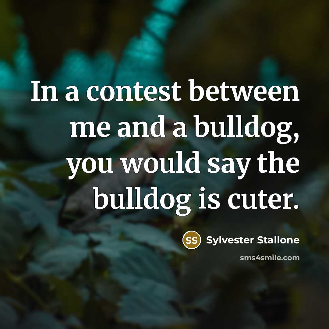 “In a contest between me and a bulldog, you would say the bulldog is cuter.” quote by Sylvester Stallone