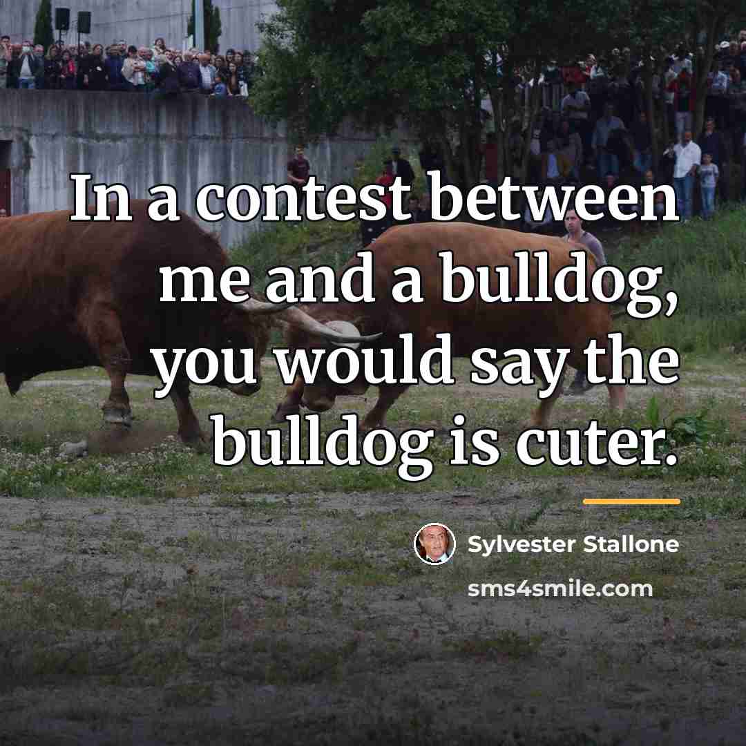 “In a contest between me and a bulldog, you would…” quote by Sylvester Stallone