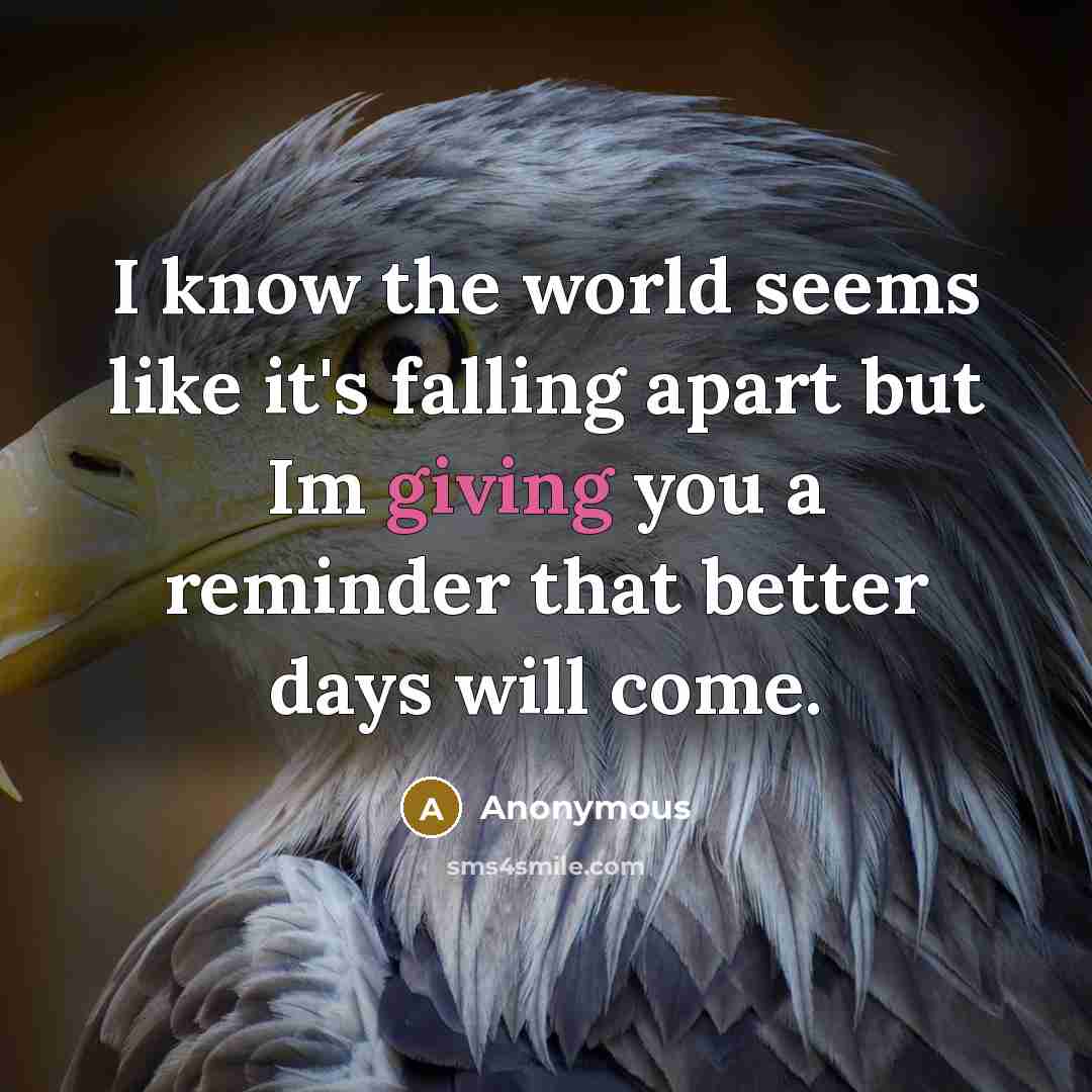 “I know the world seems like it's falling apart but Im giving you a reminder that better days will come.” quote by Anonymous
