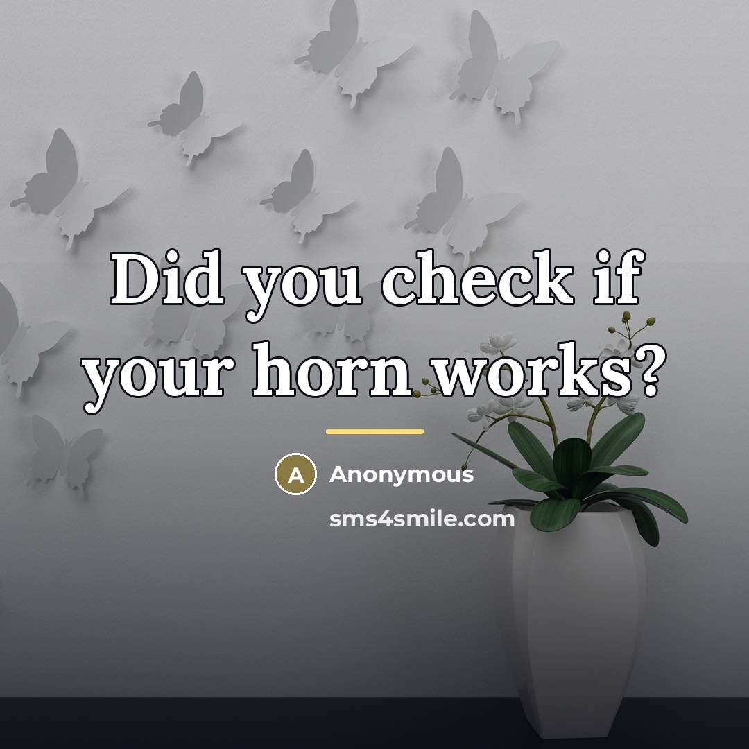 “Did you check if your horn works?…” quote by Anonymous