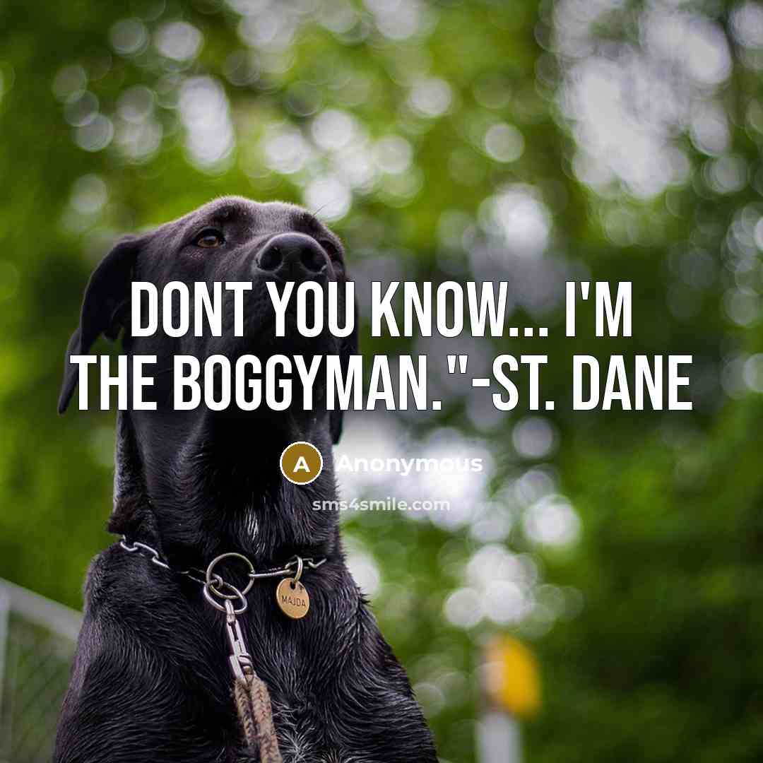 “Dont you know... I'm the boggyman."-St. Dane” quote by Anonymous