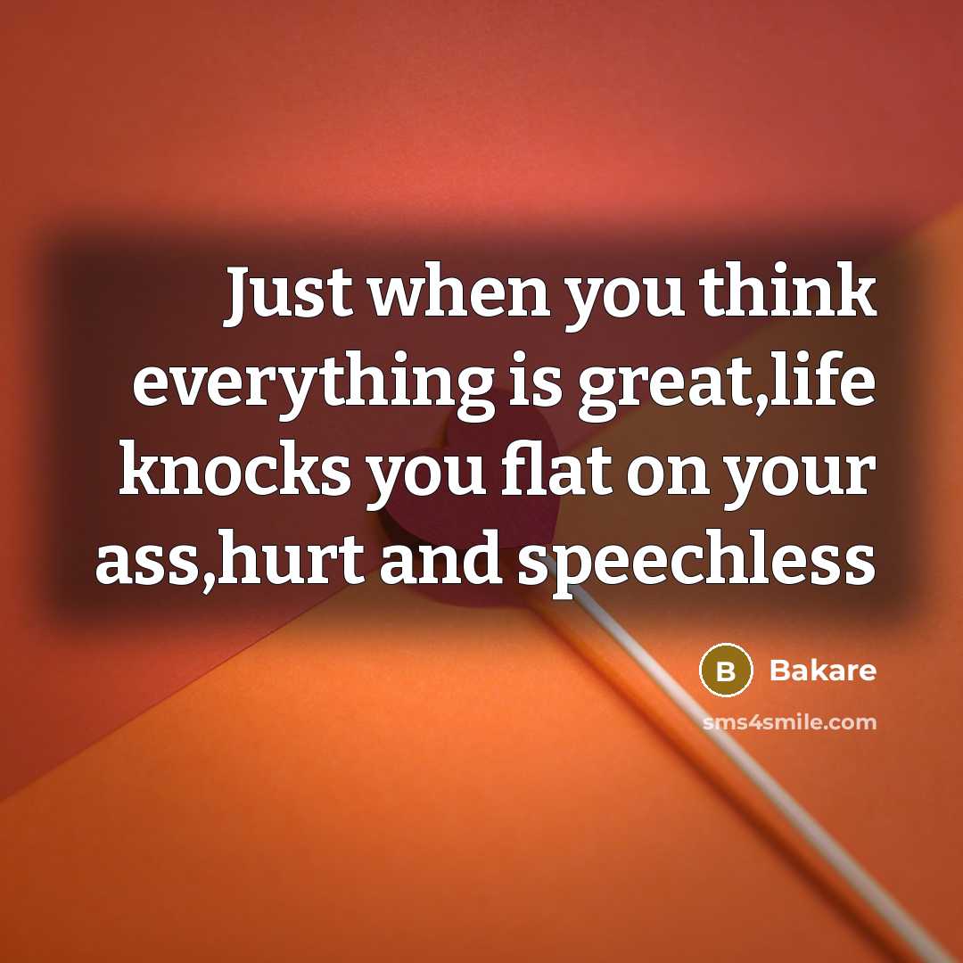 “Just when you think everything is great,life knocks you flat on your ass,hurt and speechless” quote by Bakare