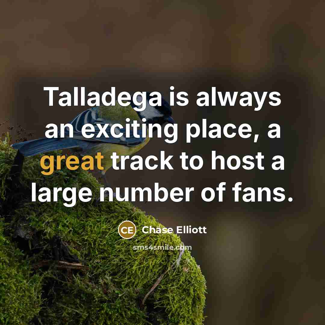 “Talladega is always an exciting place, a great track to…” quote by Chase Elliott