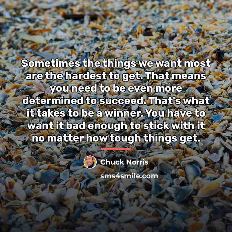“Sometimes the things we want most are the hardest to…” quote by Chuck Norris