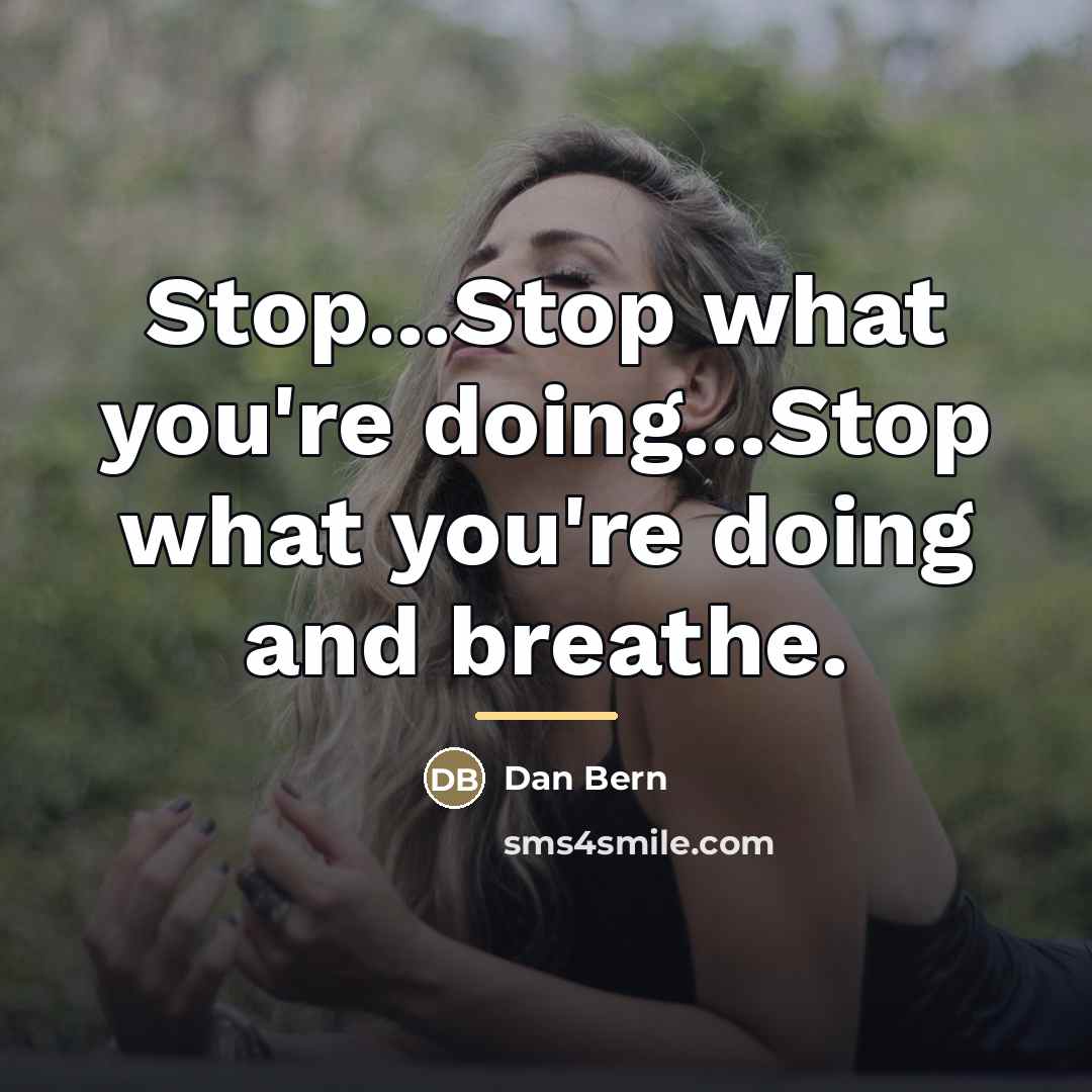 “Stop...Stop what you're doing...Stop what you're doing and breathe.…” quote by Dan Bern