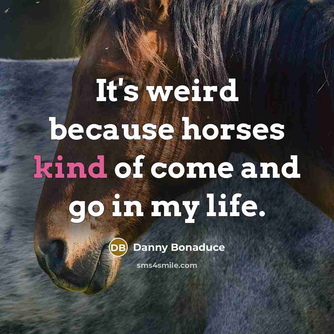 “It's weird because horses kind of come and go in…” quote by Danny Bonaduce