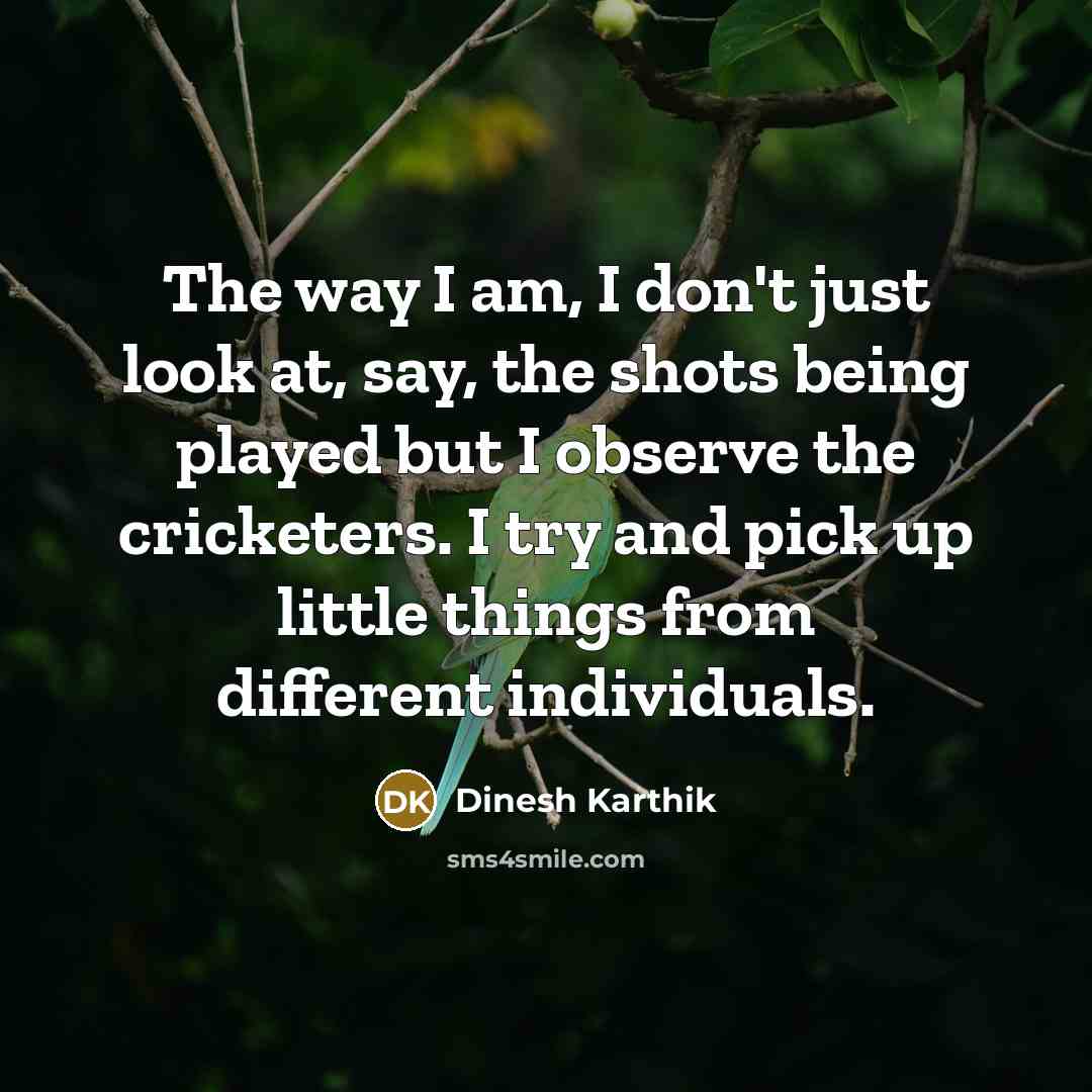 “The way I am, I don't just look at, say,…” quote by Dinesh Karthik