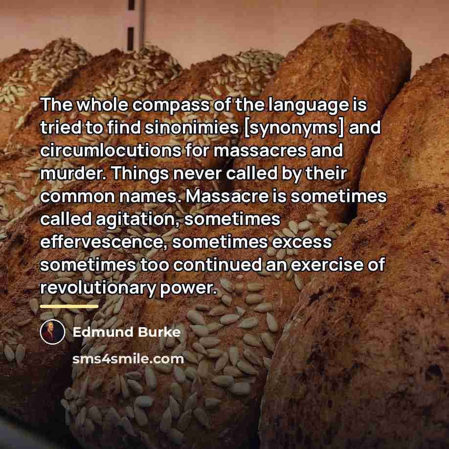 “The whole compass of the language is tried to find…” quote by Edmund Burke