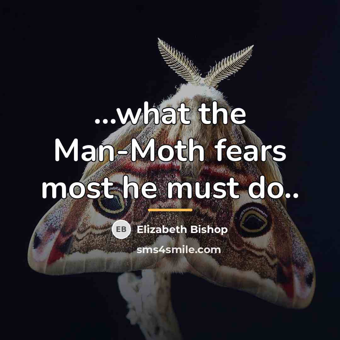 “...what the Man-Moth fears most he must do..…” quote by Elizabeth Bishop