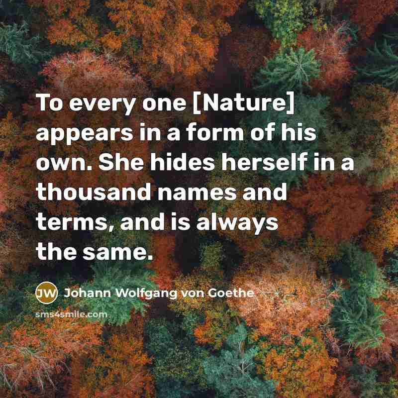 “To every one [Nature] appears in a form of his…” quote by Johann Wolfgang von Goethe