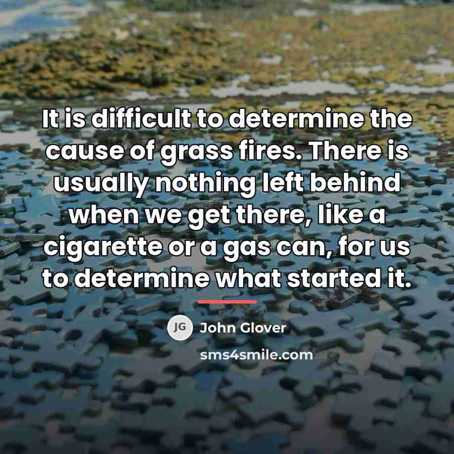 “It is difficult to determine the cause of grass fires.…” quote by John Glover