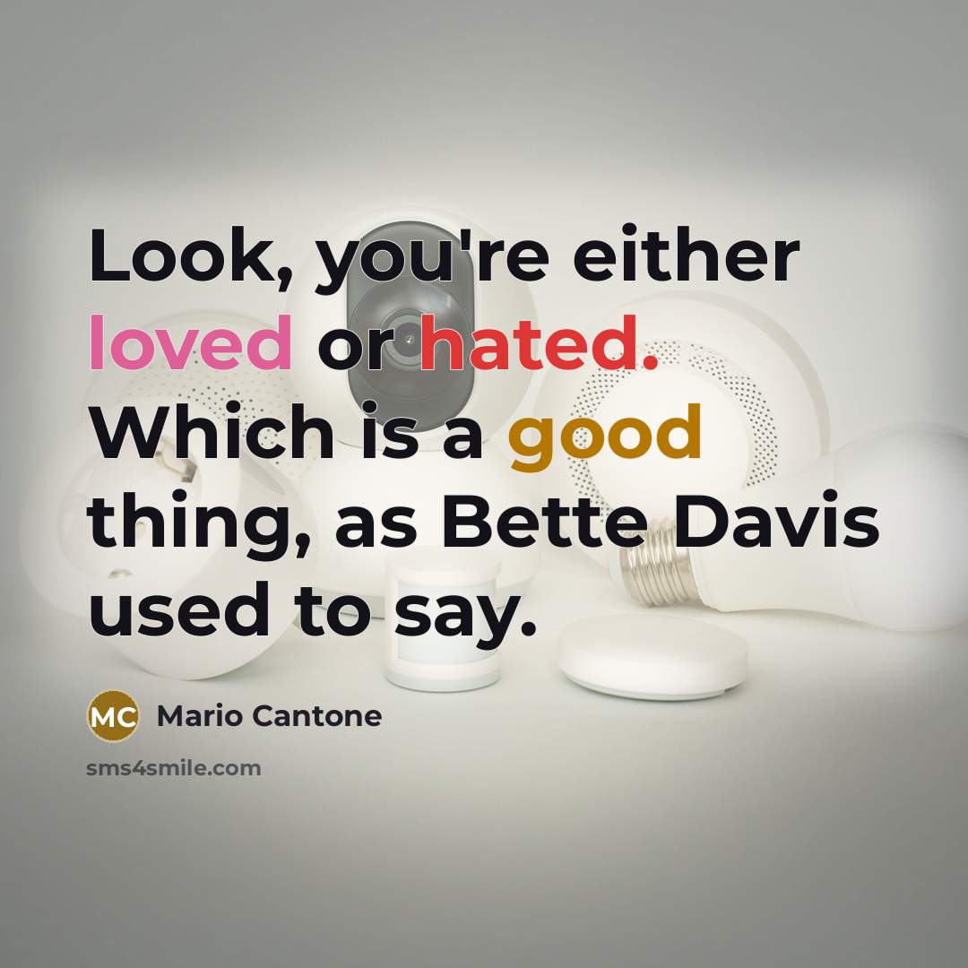 “Look, you're either loved or hated. Which is a good thing, as Bette Davis used to say.” quote by Mario Cantone