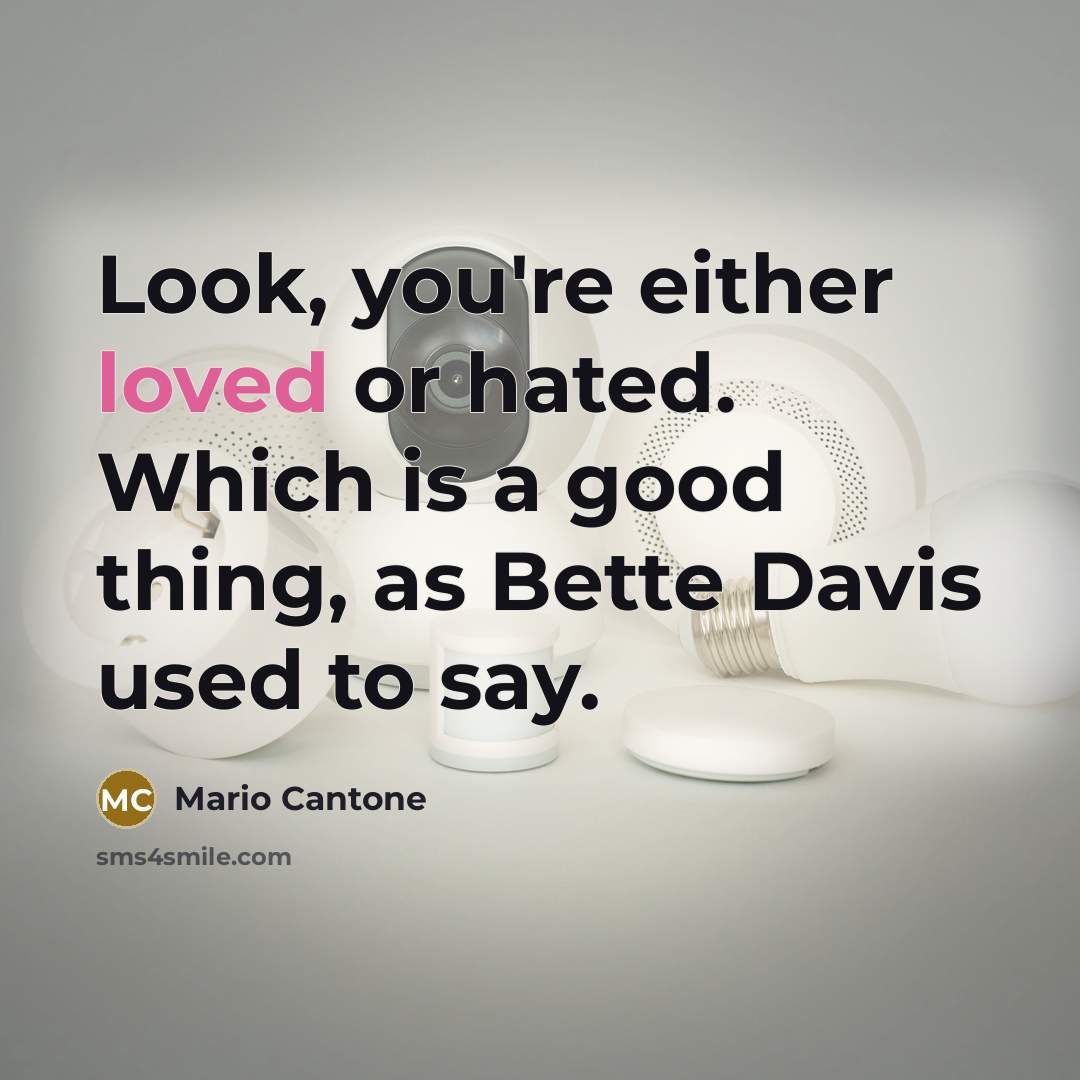 “Look, you're either loved or hated. Which is a good…” quote by Mario Cantone