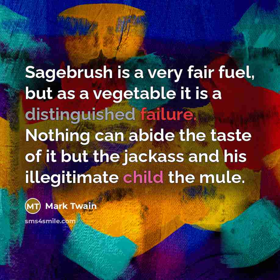 “Sagebrush is a very fair fuel, but as a vegetable…” quote by Mark Twain