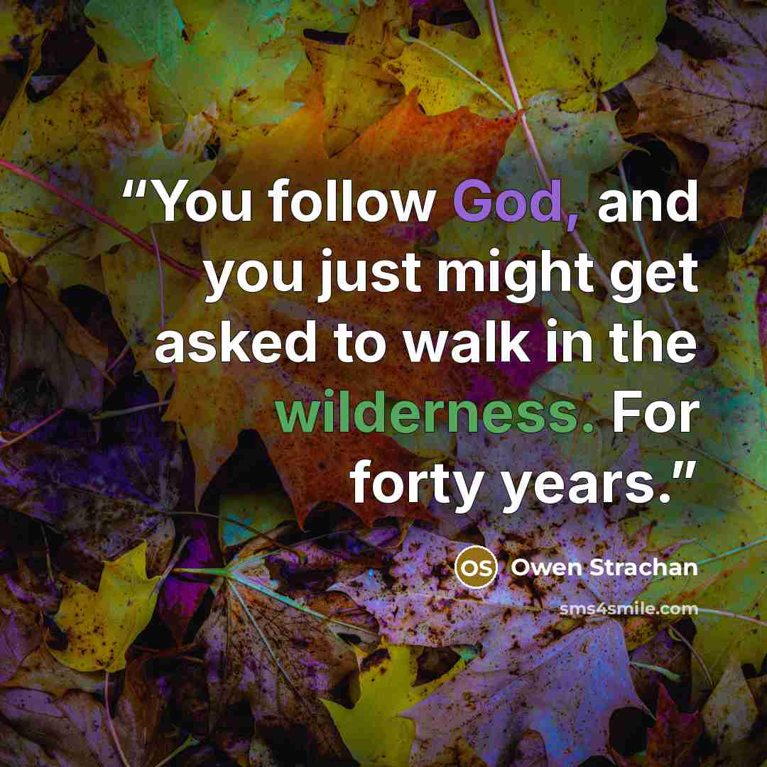 “You follow God, and you just might get asked to walk in the wilderness. For forty years.” quote by Owen Strachan