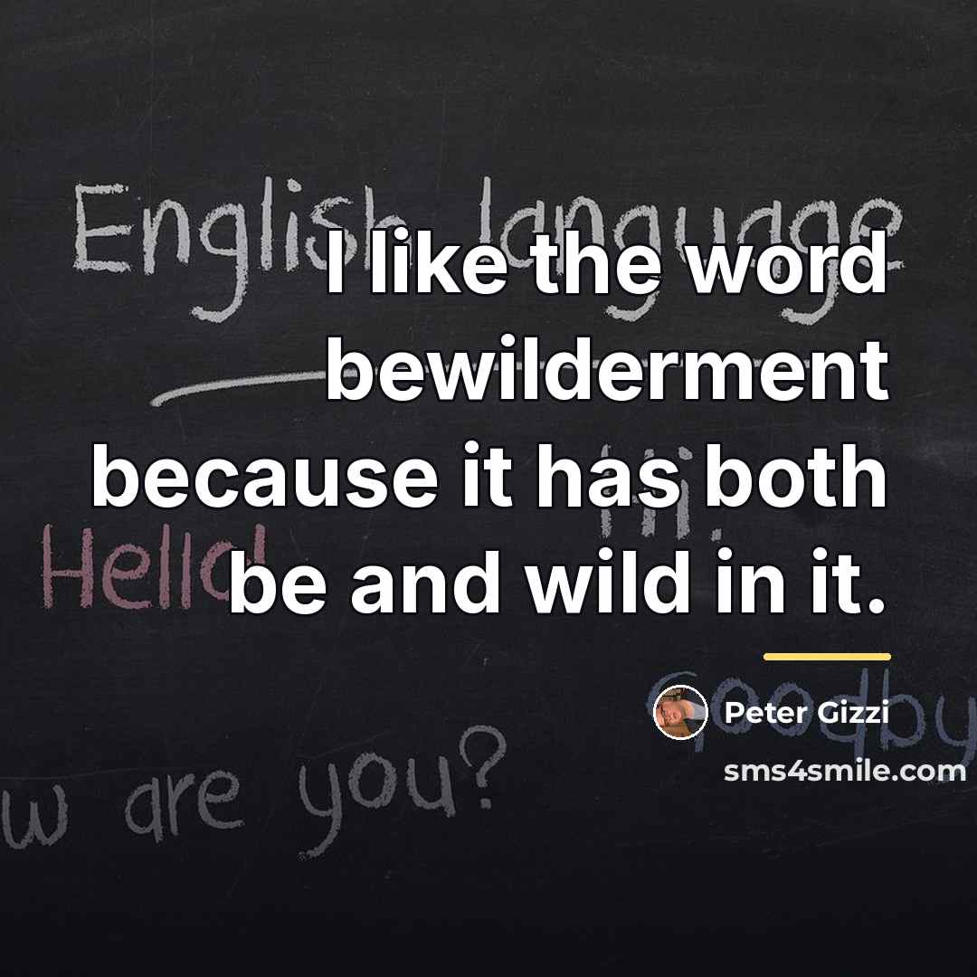 “I like the word bewilderment because it has both be…” quote by Peter Gizzi