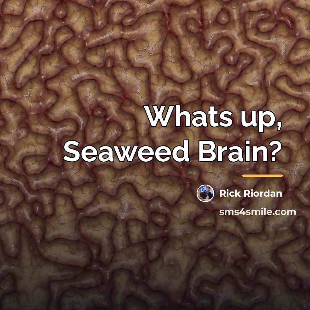 “Whats up, Seaweed Brain?…” quote by Rick Riordan