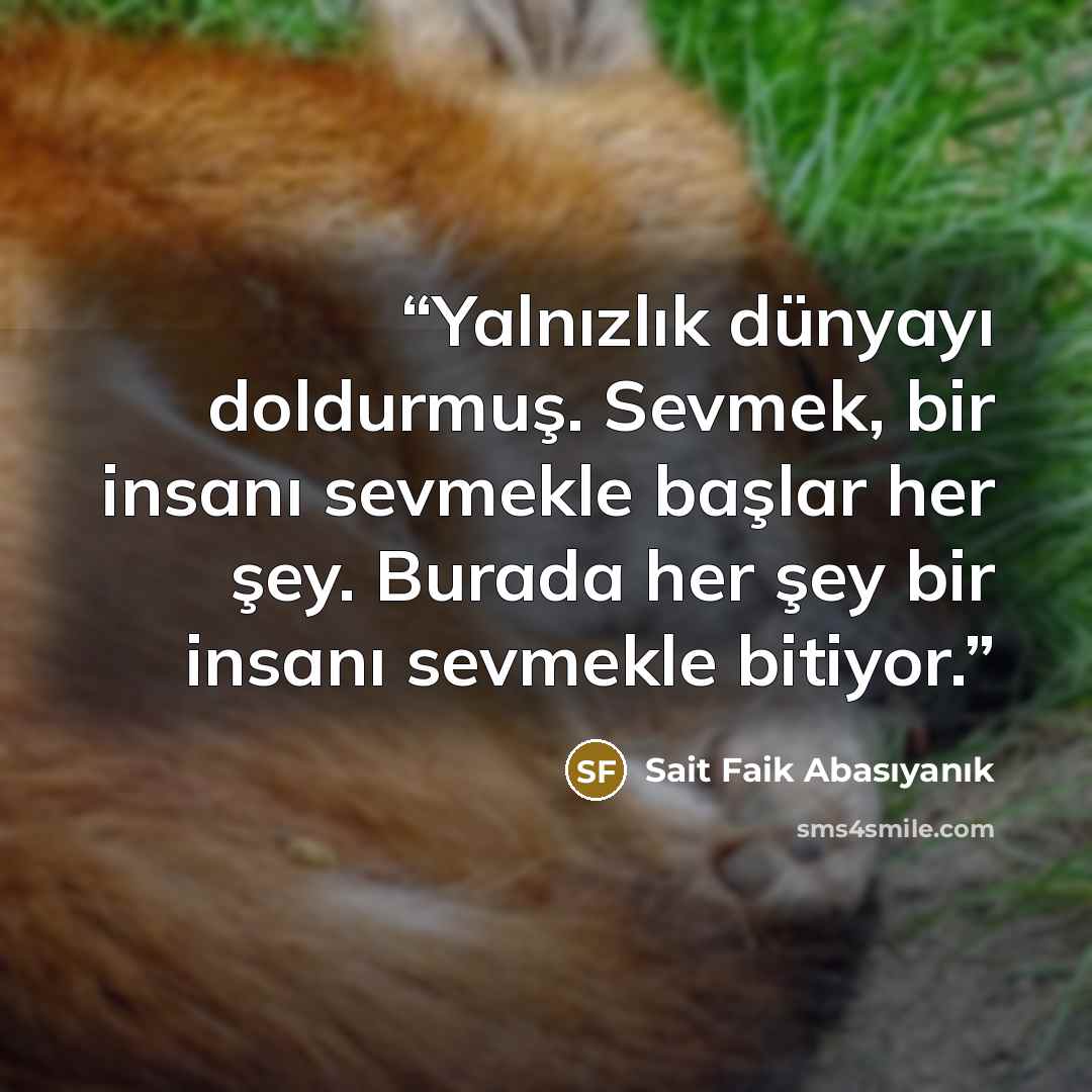 “Yalnızlık dünyayı doldurmuş. Sevmek, bir insanı sevmekle başlar her şey. Burada her şey bir insanı sevmekle bitiyor.” quote by Sait Faik Abasıyanık