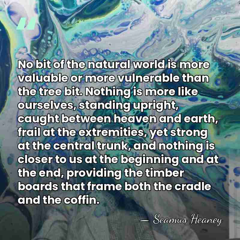 No bit of the natural world is more valuable or more vulnerable&hellip; - Seamus Heaney
