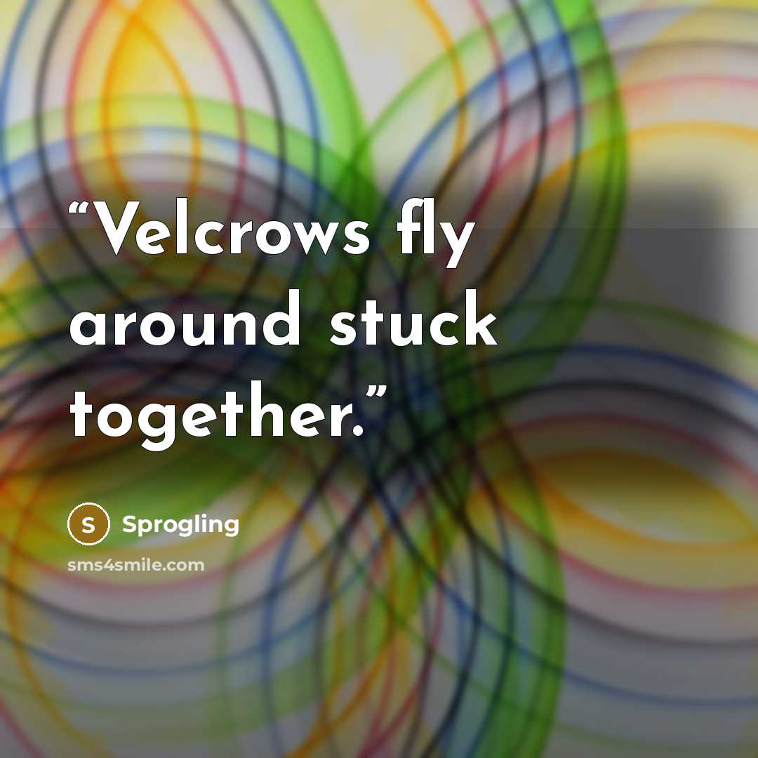 “Velcrows fly around stuck together.” quote by Sprogling