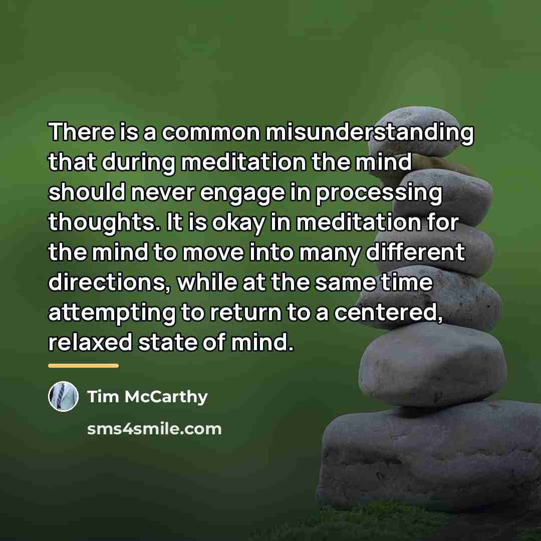 “There is a common misunderstanding that during meditation the mind…” quote by Tim McCarthy