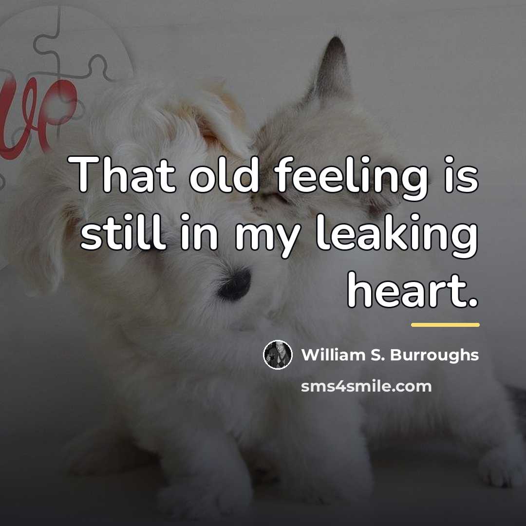 “That old feeling is still in my leaking heart.…” quote by William S. Burroughs