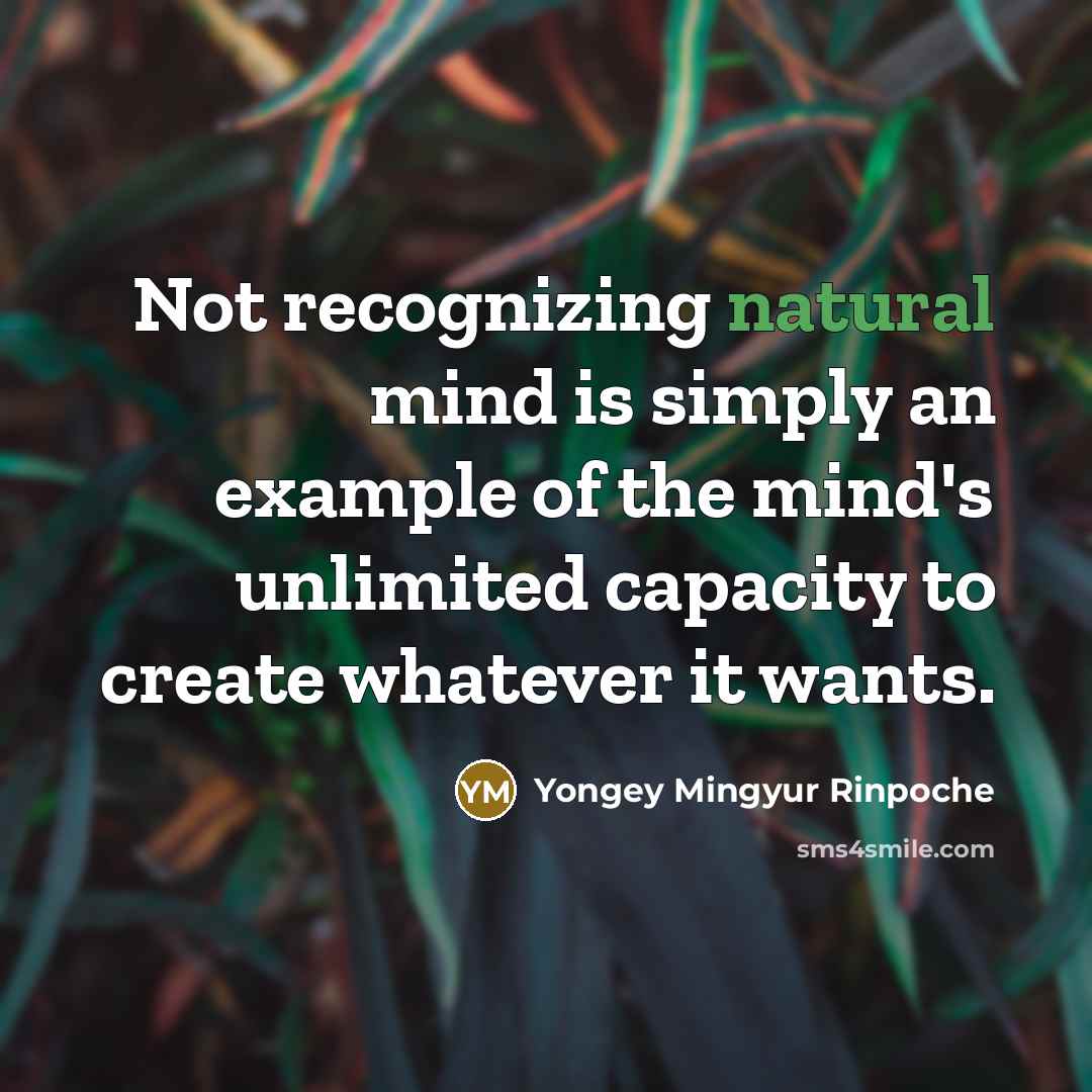 “Not recognizing natural mind is simply an example of the…” quote by Yongey Mingyur Rinpoche