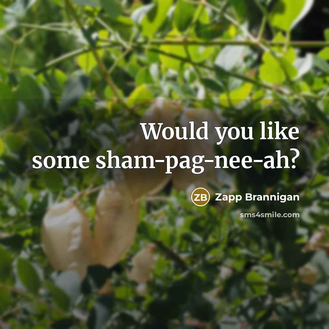 “Would you like some sham-pag-nee-ah?” quote by Zapp Brannigan
