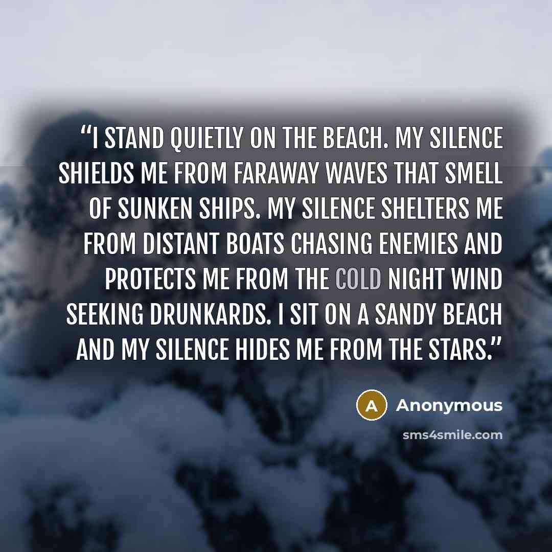 “I stand quietly on the beach. My silence shields me from faraway waves that smell of sunken ships. My silence shelters me from distant boats chasing enemies and protects me from the cold night wind seeking drunkards. I sit on a sandy beach and my silence hides me from the stars.” quote by Anonymous