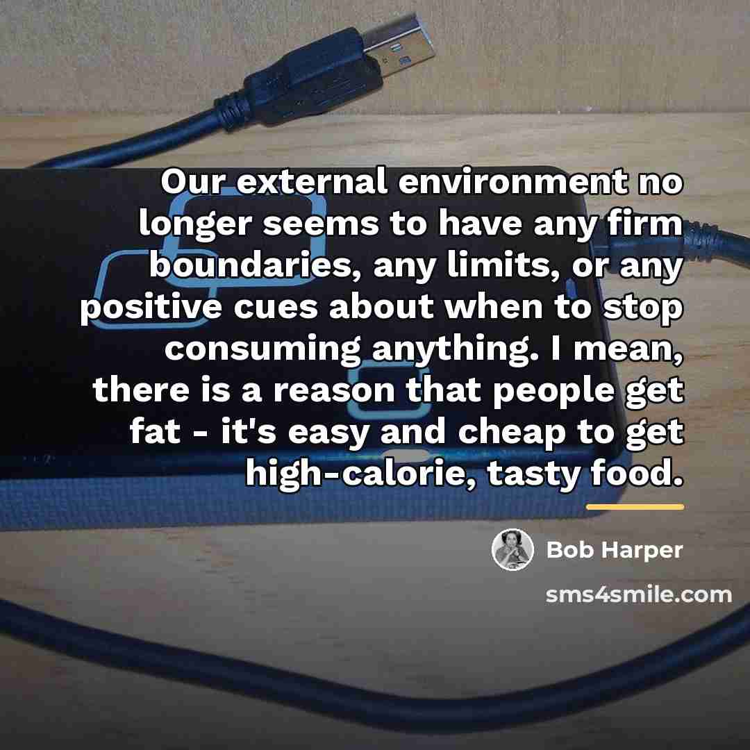 “Our external environment no longer seems to have any firm…” quote by Bob Harper