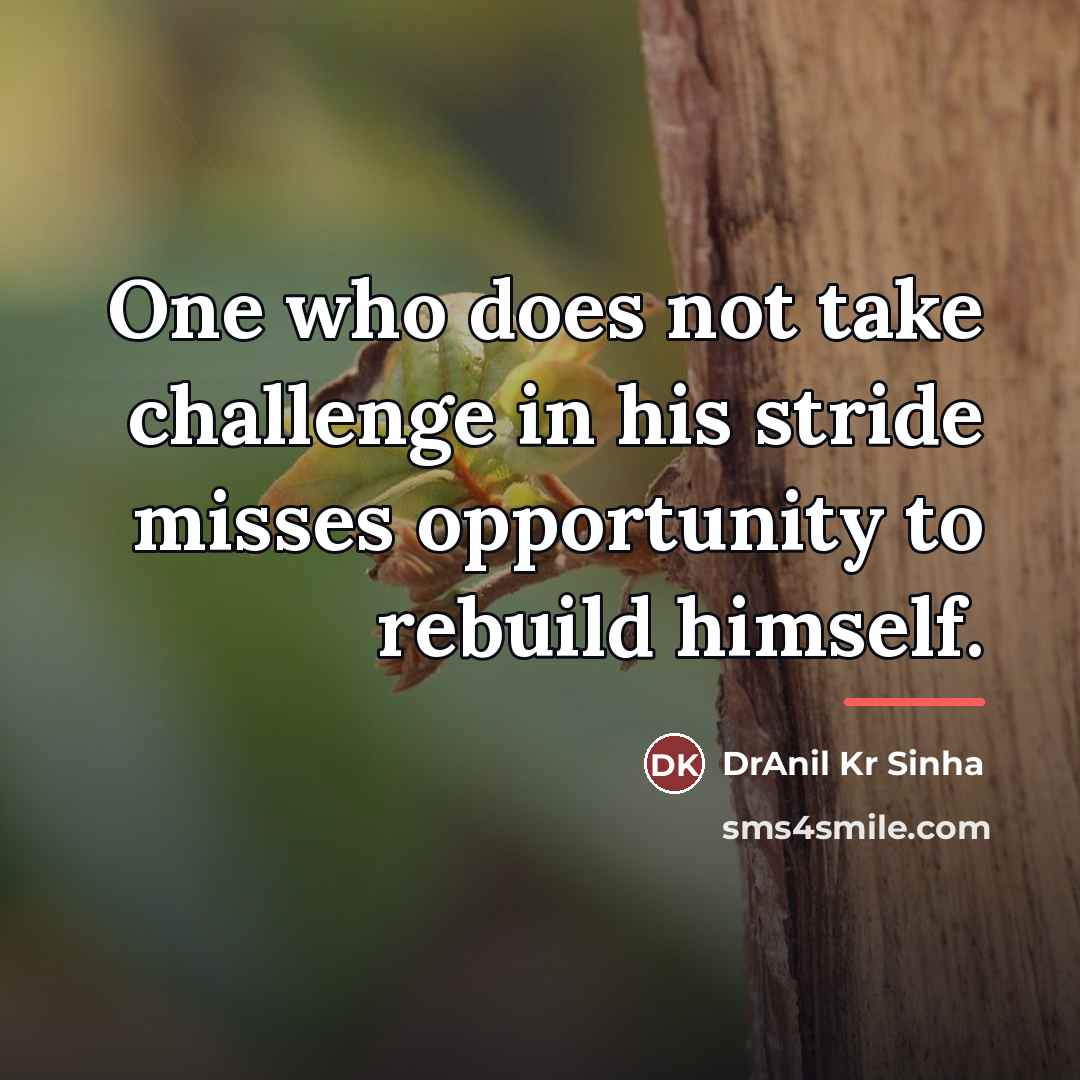 “One who does not take challenge in his stride misses…” quote by DrAnil Kr Sinha